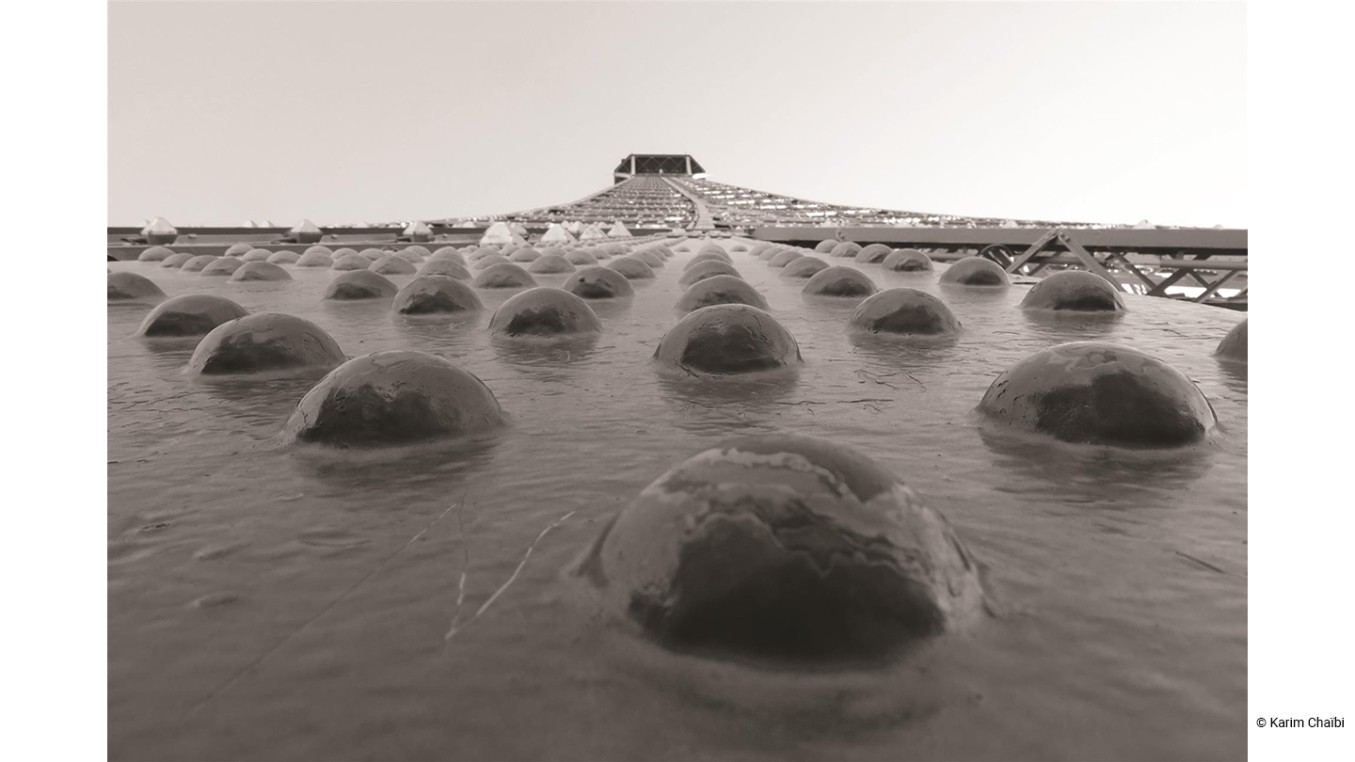 Photo contest winner 4